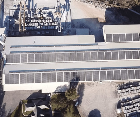 Cameleon (South Africa)