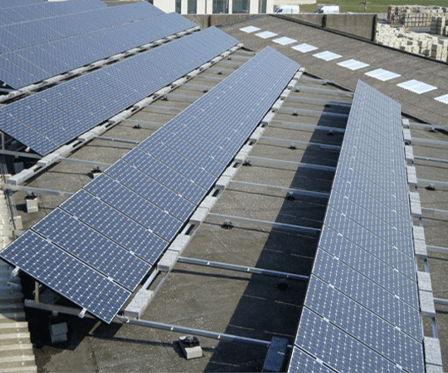 Brachot Harelbeke (Belgium)