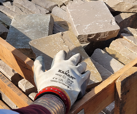 Multistakeholder Dialogue Rajasthan 2025